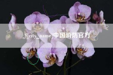 榆林中国消防官方