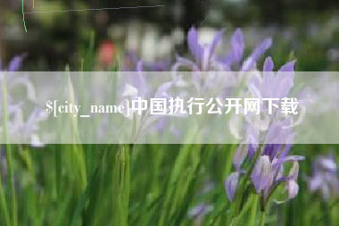 榆林中国执行公开网下载