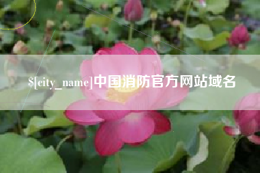 榆林中国消防官方网站域名