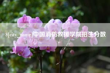 榆林中国消防救援学院招生分数