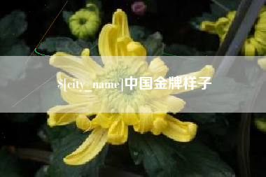 榆林中国金牌样子