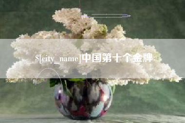 榆林中国第十个金牌