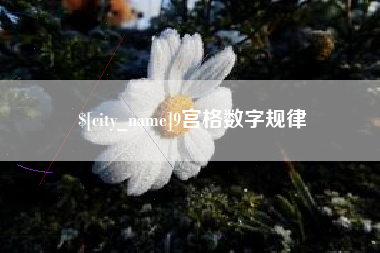 榆林9宫格数字规律