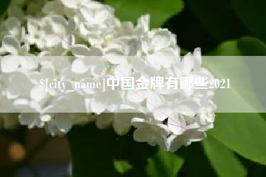 榆林中国金牌有哪些2021