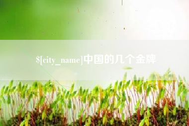 榆林中国的几个金牌