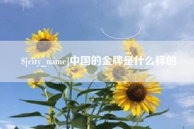 榆林中国的金牌是什么样的