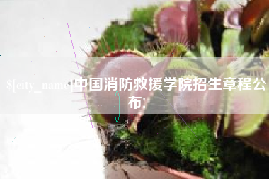 榆林中国消防救援学院招生章程公布!