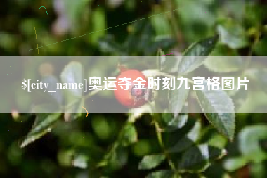 榆林奥运夺金时刻九宫格图片
