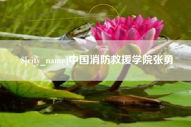 榆林中国消防救援学院张勇