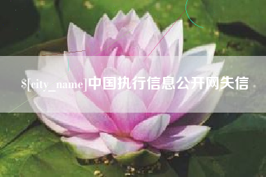 榆林中国执行信息公开网失信