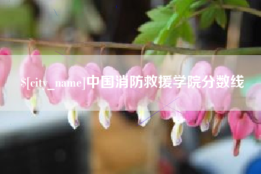 榆林中国消防救援学院分数线