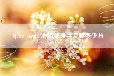 榆林消防救援学院要多少分