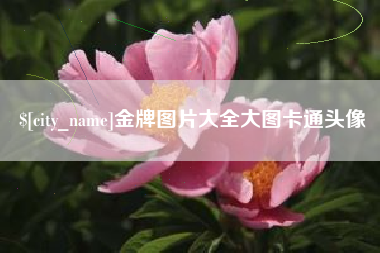 榆林金牌图片大全大图卡通头像