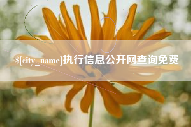 榆林执行信息公开网查询免费