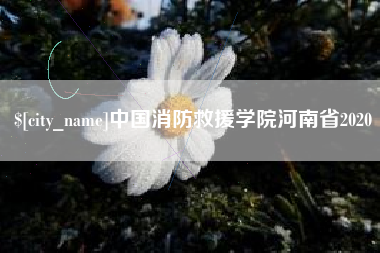 榆林中国消防救援学院河南省2020